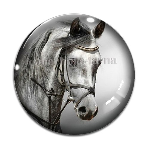 Cabochon cheval, cabochon résine, verre rond différente taille