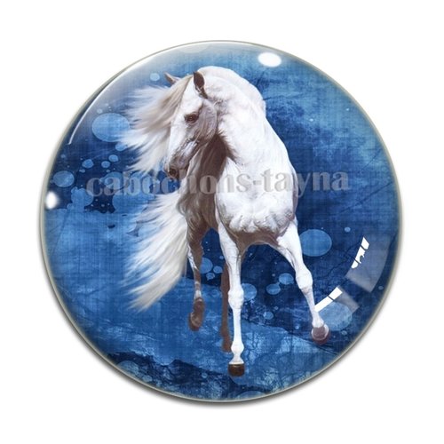 Cabochon cheval, cabochon résine, verre rond différente taille