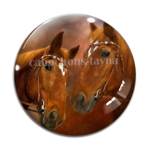 Cabochon cheval, cabochon résine, verre rond différente taille