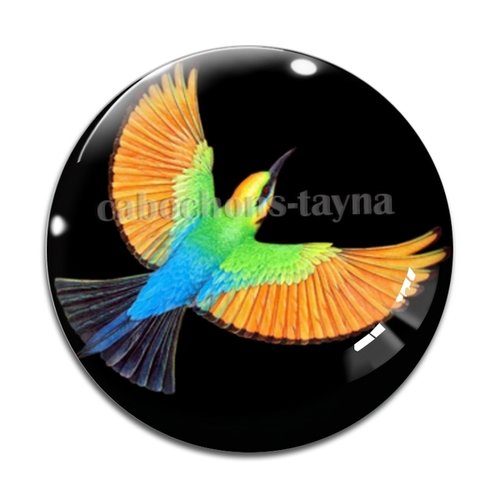 Cabochon oiseaux, en résine ou en verre différente taille