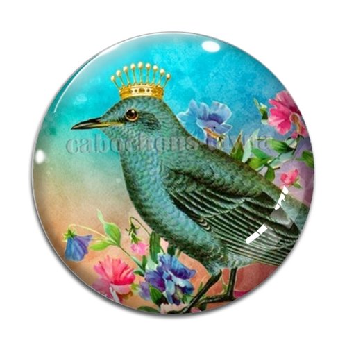 Cabochon oiseaux, en résine ou en verre différente taille