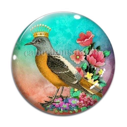 Cabochon oiseaux, en résine ou en verre différente taille