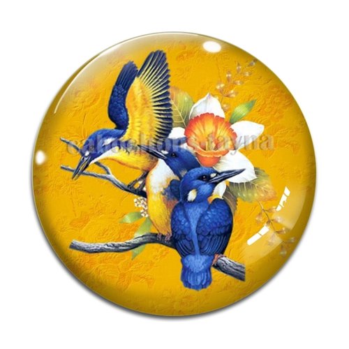 Cabochon oiseaux, en résine ou en verre différente taille