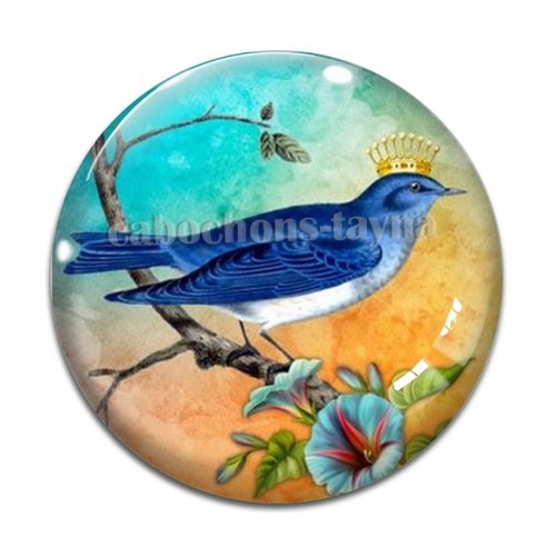 Cabochon oiseaux, en résine ou en verre différente taille