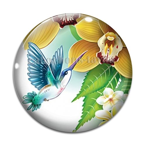 Cabochon oiseaux, en résine ou en verre différente taille