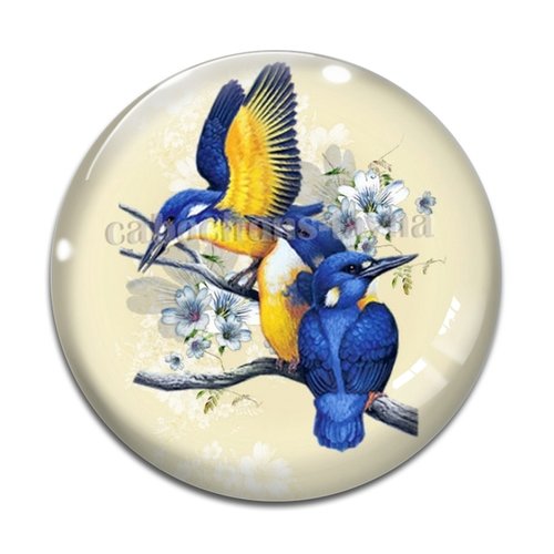 Cabochon oiseaux, en résine ou en verre différente taille