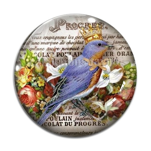 Cabochon oiseaux, en résine ou en verre différente taille