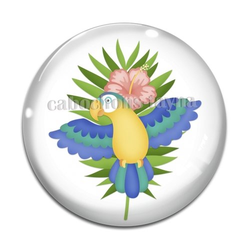Cabochon oiseaux, en résine ou en verre différente taille