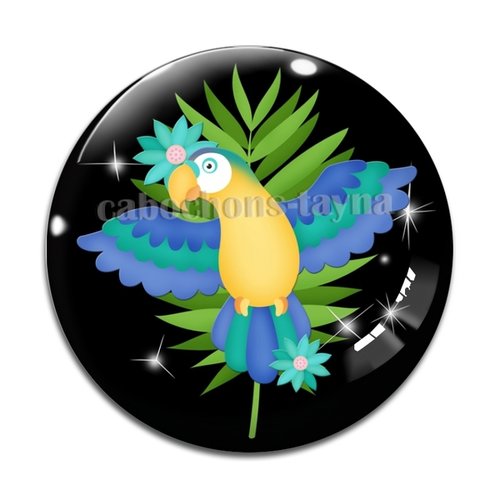 Cabochon oiseaux, en résine ou en verre différente taille