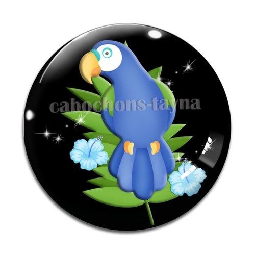 Cabochon oiseaux, en résine ou en verre différente taille