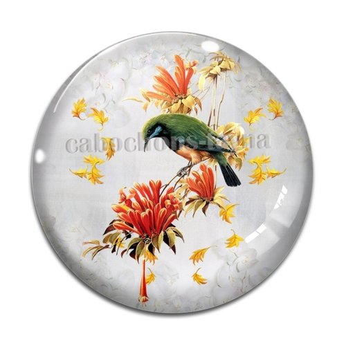 Cabochon oiseaux, en résine ou en verre différente taille