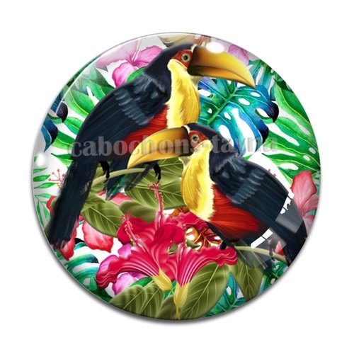 Cabochon oiseaux, en résine ou en verre différente taille