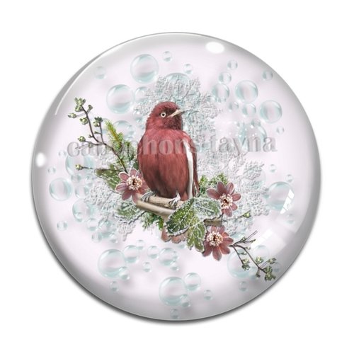 Cabochon oiseaux, en résine ou en verre différente taille