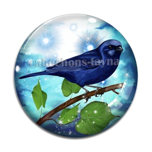 Cabochon oiseaux, en résine ou en verre différente taille