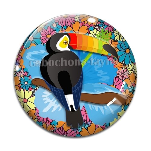 Cabochon oiseaux, en résine ou en verre différente taille