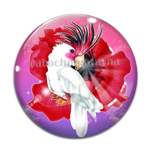 Cabochon oiseaux, en résine ou en verre différente taille