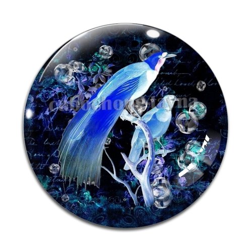 Cabochon oiseaux, en résine ou en verre différente taille