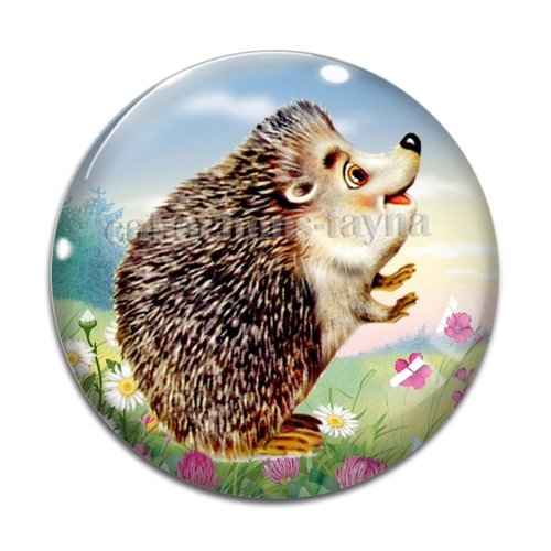 Cabochon hérisson, en résine ou en verre différente taille