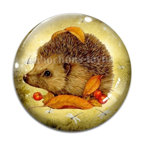 Cabochon hérisson, en résine ou en verre différente taille