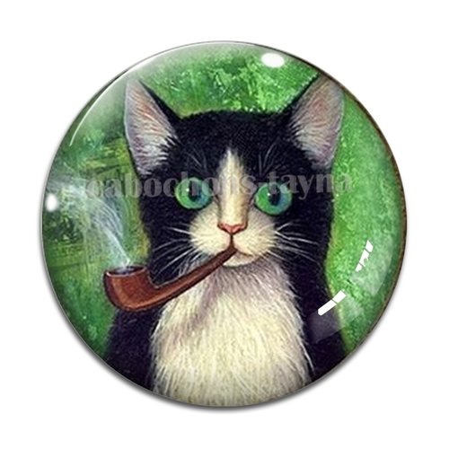 Cabochon chat, résine ou verre différente taille