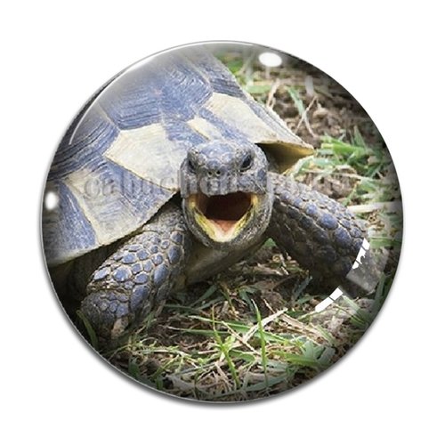 Cabochon tortue, en résine ou en verre différente taille