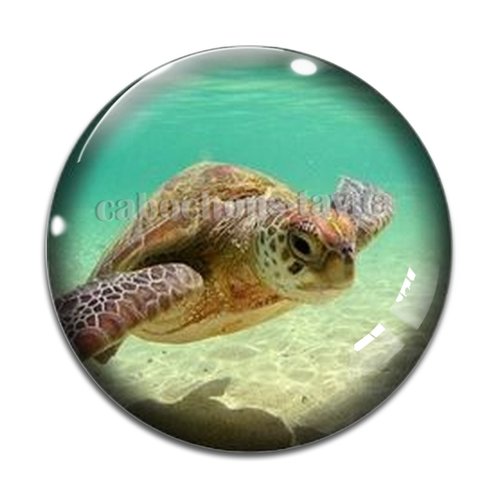 Cabochon tortue de mer, en résine ou en verre différente taille