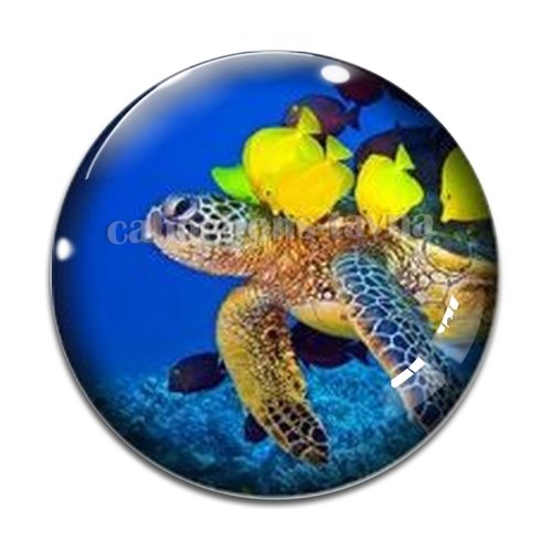 Cabochon tortue de mer, en résine ou en verre différente taille