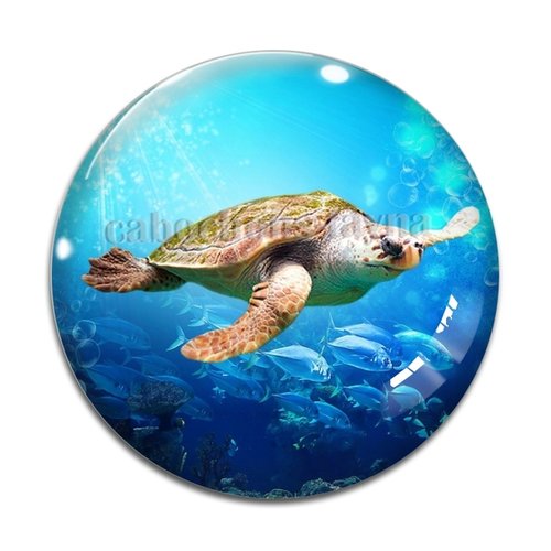 Cabochon tortue de mer, en résine ou en verre différente taille