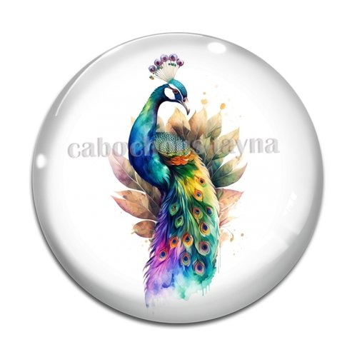Cabochon paon, en résine ou en verre différente taille