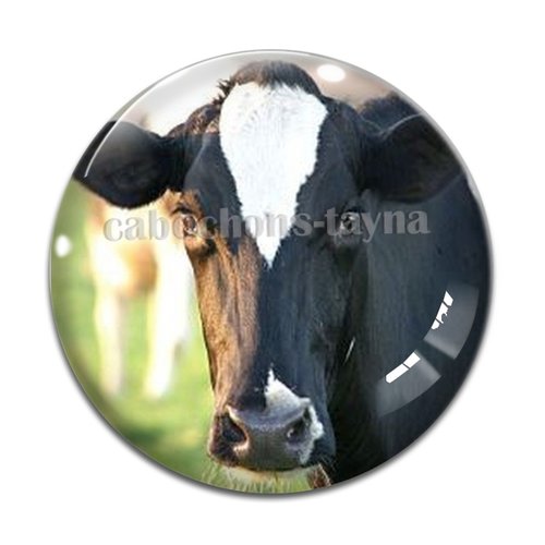 Cabochon vache, en résine ou en verre différente taille