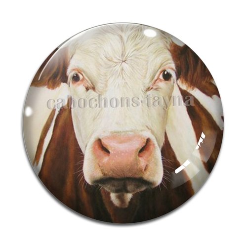 Cabochon vache, en résine ou en verre différente taille