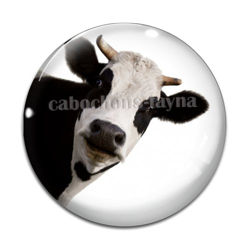 Cabochon vache, en résine ou en verre différente taille