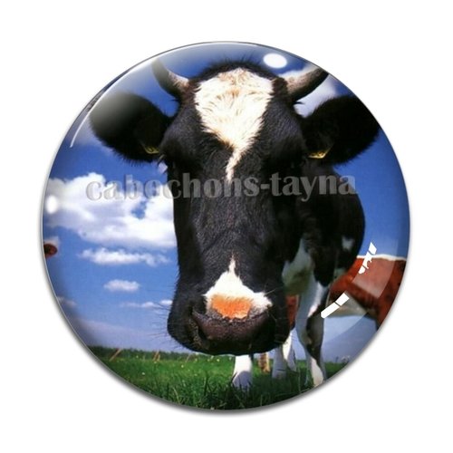Cabochon vache, en résine ou en verre différente taille