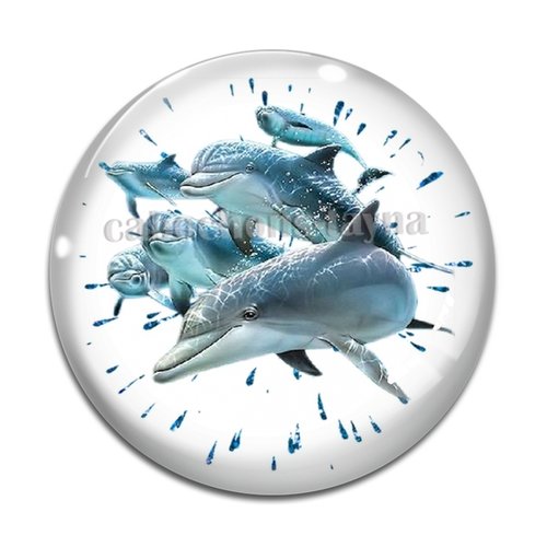 Cabochon dauphin, en résine ou en verre différente taille