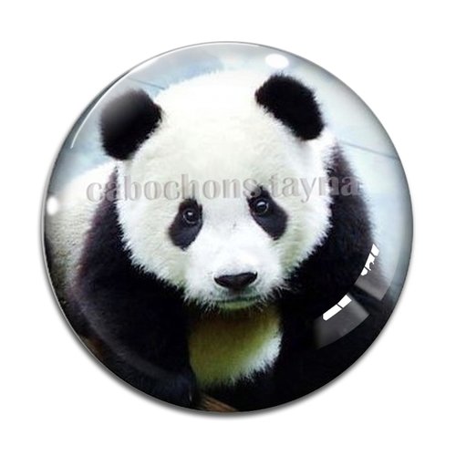 Cabochon panda, en résine ou en verre différente taille