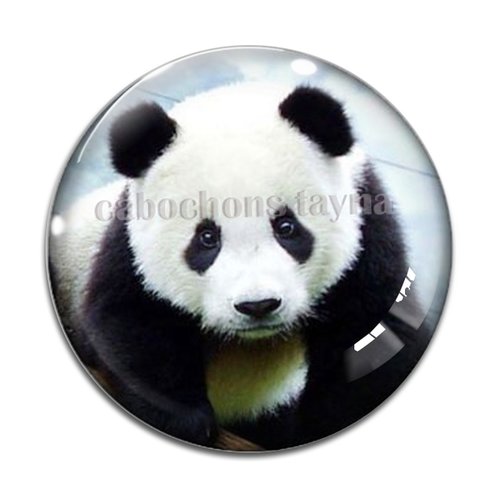 Cabochon panda, en résine ou en verre différente taille