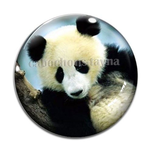 Cabochon panda, en résine ou en verre différente taille