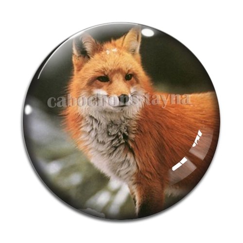 Cabochon renard, en résine ou en verre différente taille