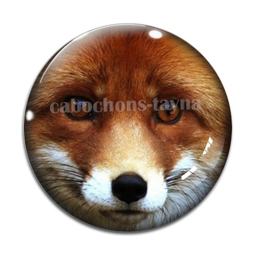 Cabochon renard, en résine ou en verre différente taille