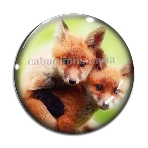 Cabochon renard, en résine ou en verre différente taille