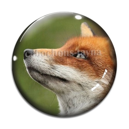 Cabochon renard, en résine ou en verre différente taille
