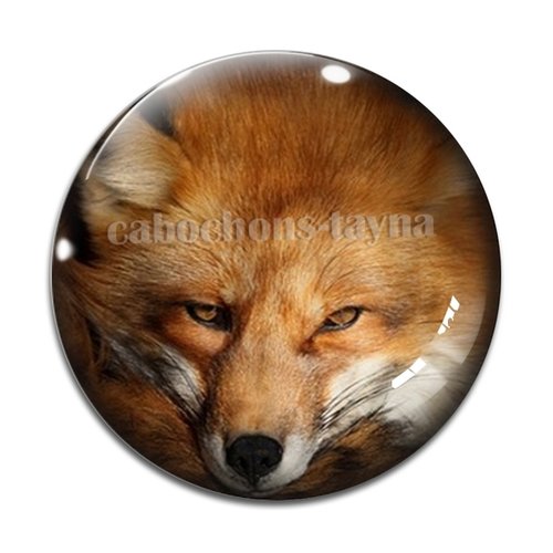 Cabochon renard, en résine ou en verre différente taille