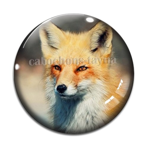 Cabochon renard, en résine ou en verre différente taille