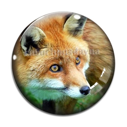 Cabochon renard, en résine ou en verre différente taille