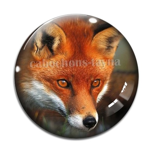 Cabochon renard, en résine ou en verre différente taille