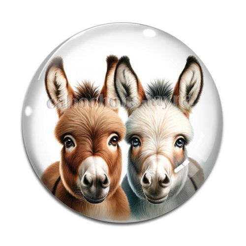 Cabochon âne, en résine ou en verre différente taille