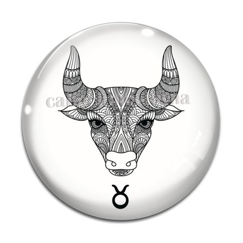 Cabochon signe astrologique, en résine ou en verre différente taille