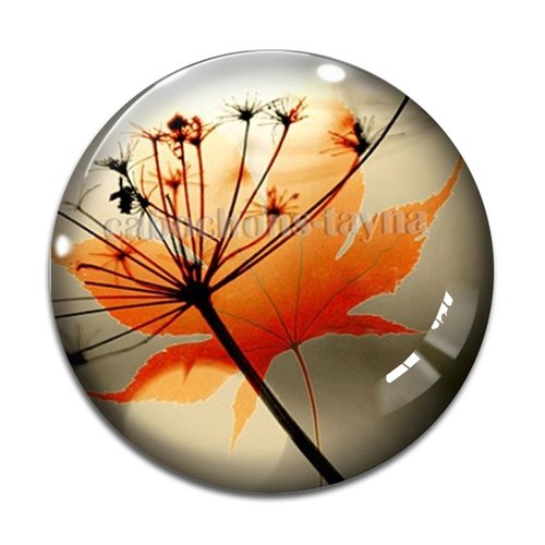 Cabochon feuille végétaux, résine ou en verre différente taille
