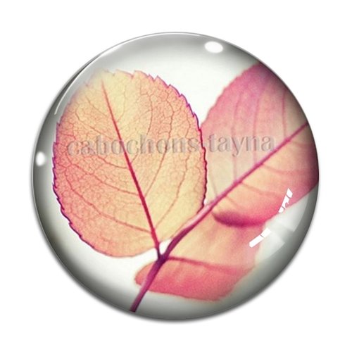 Cabochon feuille végétaux, résine ou en verre différente taille