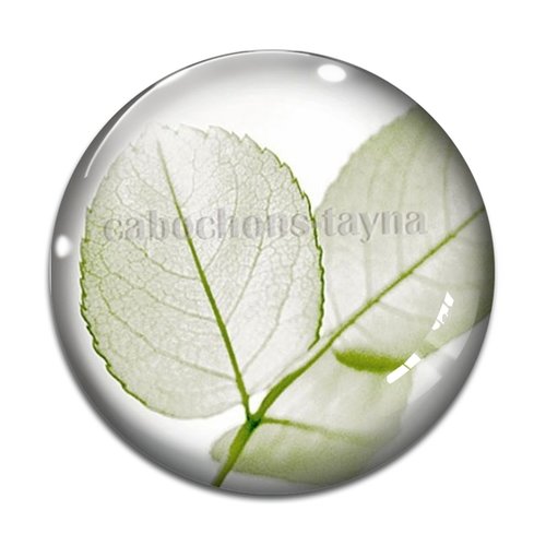Cabochon feuille végétaux, résine ou en verre différente taille